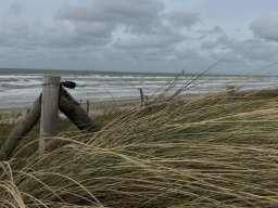 Zandvoort 2024